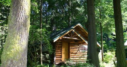 This historic log cabin is adjacent to Copper Creek Restaurant just a few miles to Mt. Rainier National Park. Hot tub, full kitchen, gas fireplace, romance!