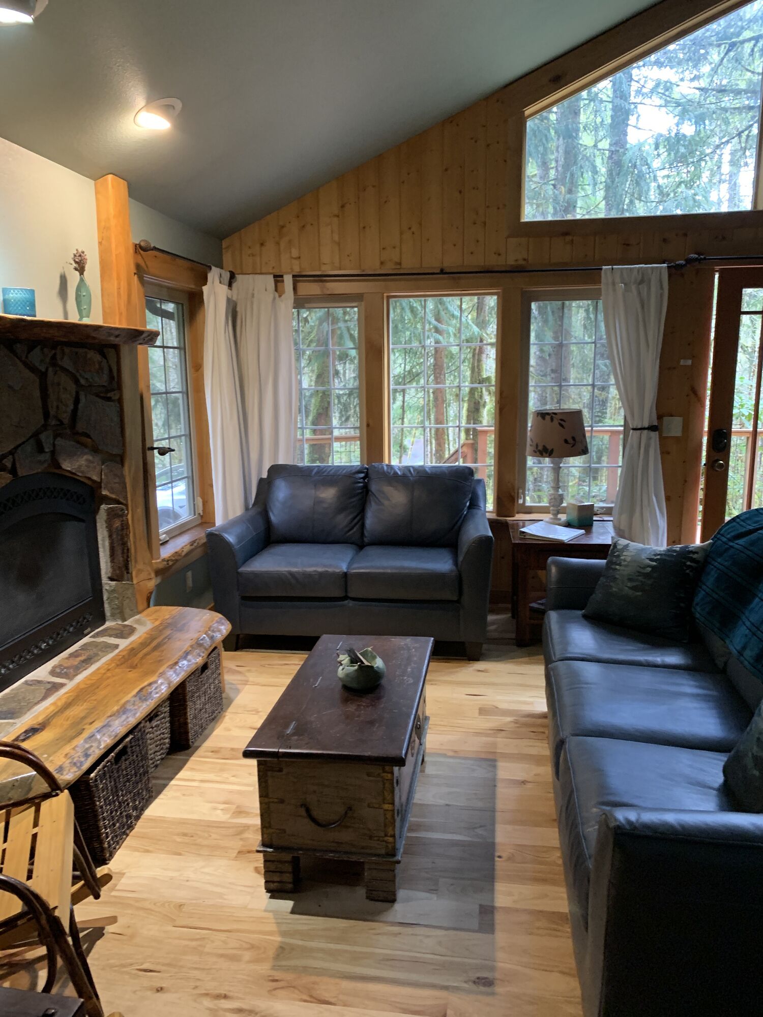 TV, fireplace, DVD player, books