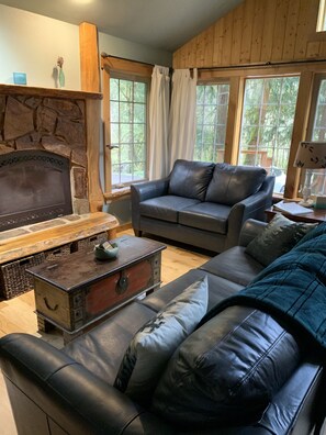 TV, fireplace, DVD player, books