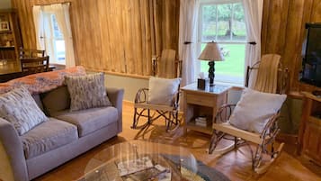 TV, fireplace, DVD player, video library