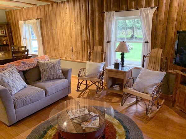 TV, fireplace, DVD player, video library