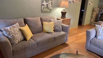 TV, fireplace, DVD player, video library