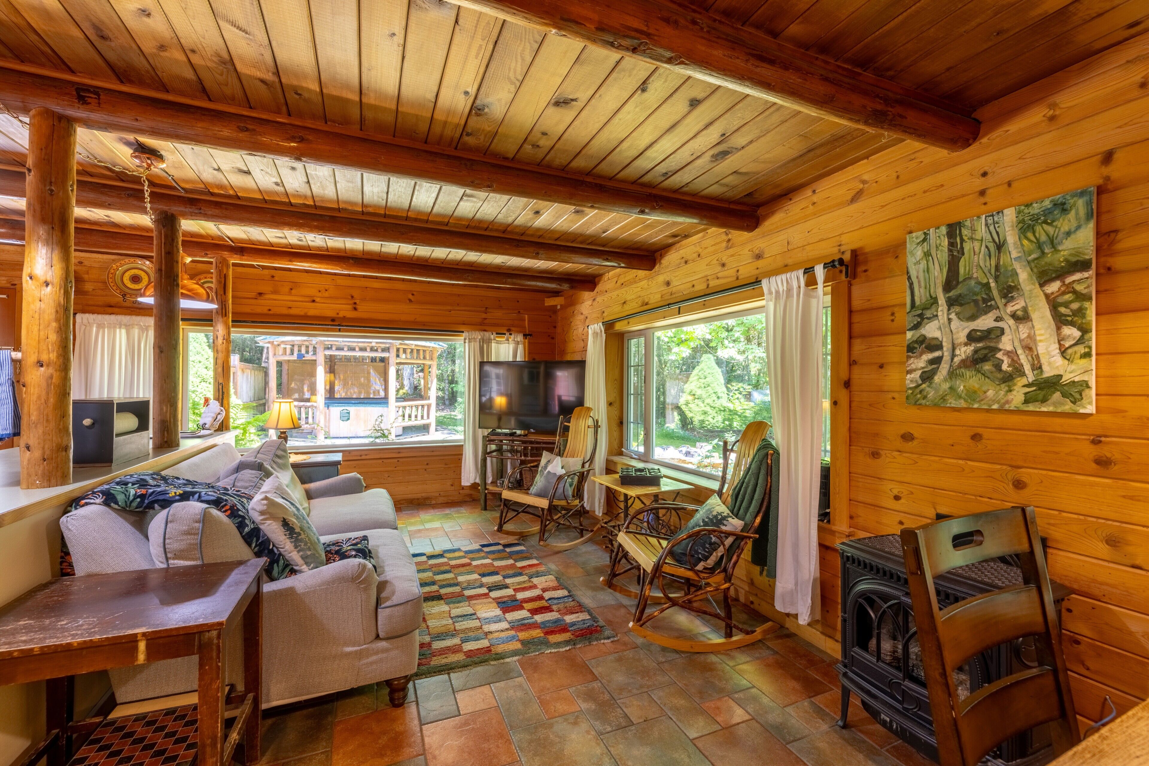 Televisio, takka, DVD-soitin, videokirjasto