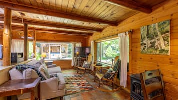 Televisio, takka, DVD-soitin, videokirjasto