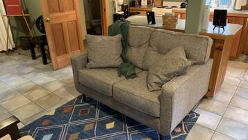 TV, lareira, DVD player, livros