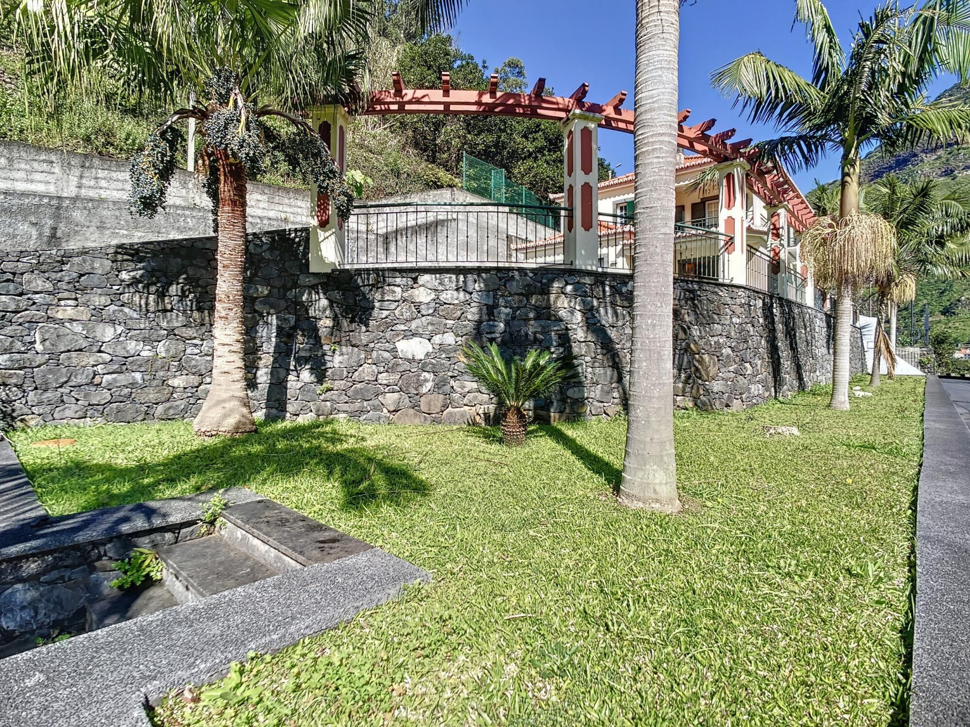 A stone wall with a palm tree and a small plant in front.