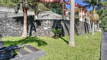 A stone wall with a palm tree and a small plant in front.