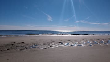 Camastros y toallas de playa