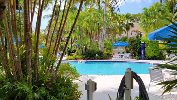 A pool area with palm trees, lounge chairs, and a clear blue pool.