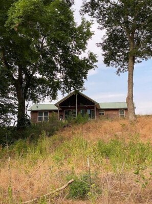 Escape to a secluded cabin surrounded by tall trees, blending seamlessly into the natural landscape.