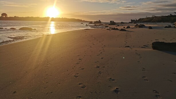 En strand med fotspår som leder ner mot vattnet, en solnedgång i bakgrunden och stenar utspridda längs stranden.