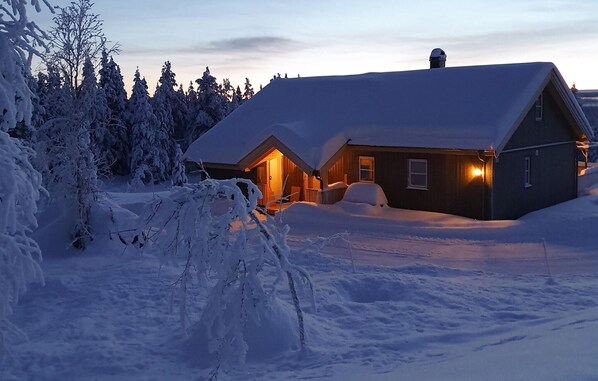 Udendørsområde