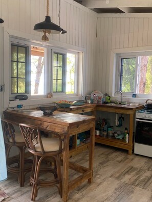 Fridge, oven, stovetop, coffee/tea maker - Romantic getaway on the beach (Alice Town)
