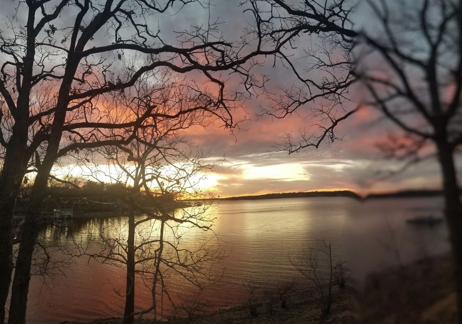 Un atardecer sobre un lago tranquilo, con árboles desprovistos de hojas enmarcando la vista.