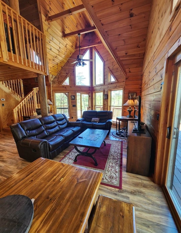 Smart TV, video games, DVD player, books