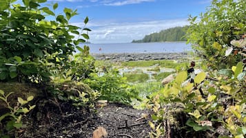 Studio – signature, 1 soverom, havutsikt, ved havkanten | Utsikt mot strand/hav