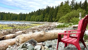 Una silla roja sobre una costa rocosa con un bosque al fondo.