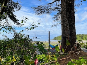 Una hamaca atada a un árbol, rodeada de vegetación y con vista al agua.