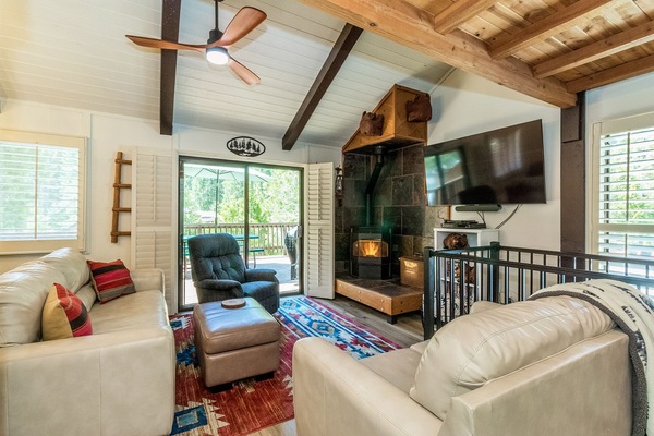 Smart TV, fireplace, DVD player, video library