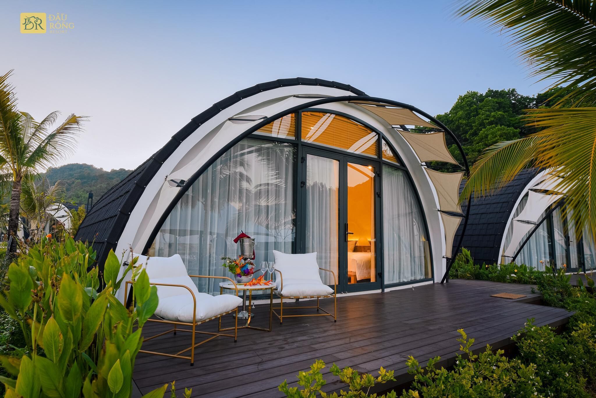 Premium bedding, down comforters, minibar, in-room safe