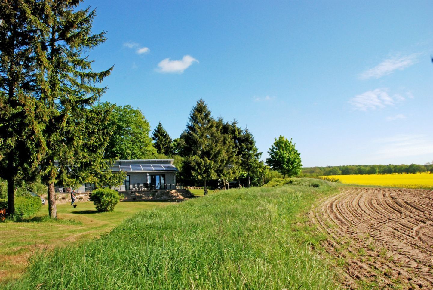 Una casa con paneles solares, rodeada de árboles y un campo.