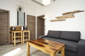 Télévision, cheminée, lecteur de DVD