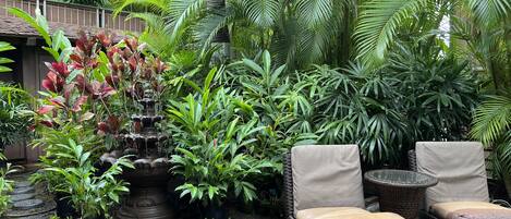 Un jardin luxuriant agrémenté d’un élément aquatique, de meubles en osier et de diverses plantes tropicales.
