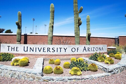Charming / Fenced / Near U of A / 1 BR 1 BA