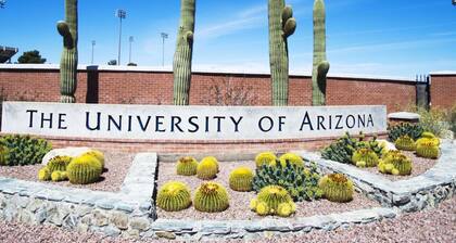 Charming / Fenced / Near U of A / 1 BR 1 BA