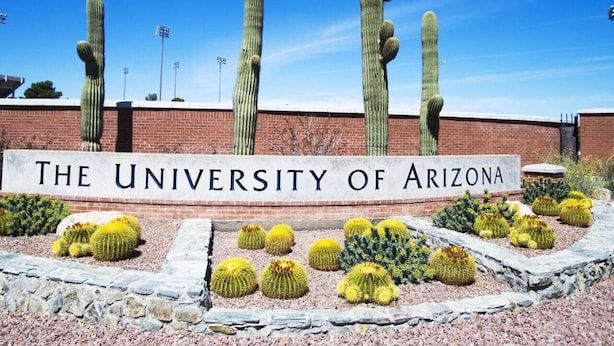 Een bord van de Universiteit van Arizona met cactussen op de voorgrond.