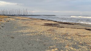 A beach with a sandy shore and waves crashing onto the beach. - Appartement 2 Piscines, 100m de la Mer, 4/6 Personnes (Santa-Maria-Poggio)