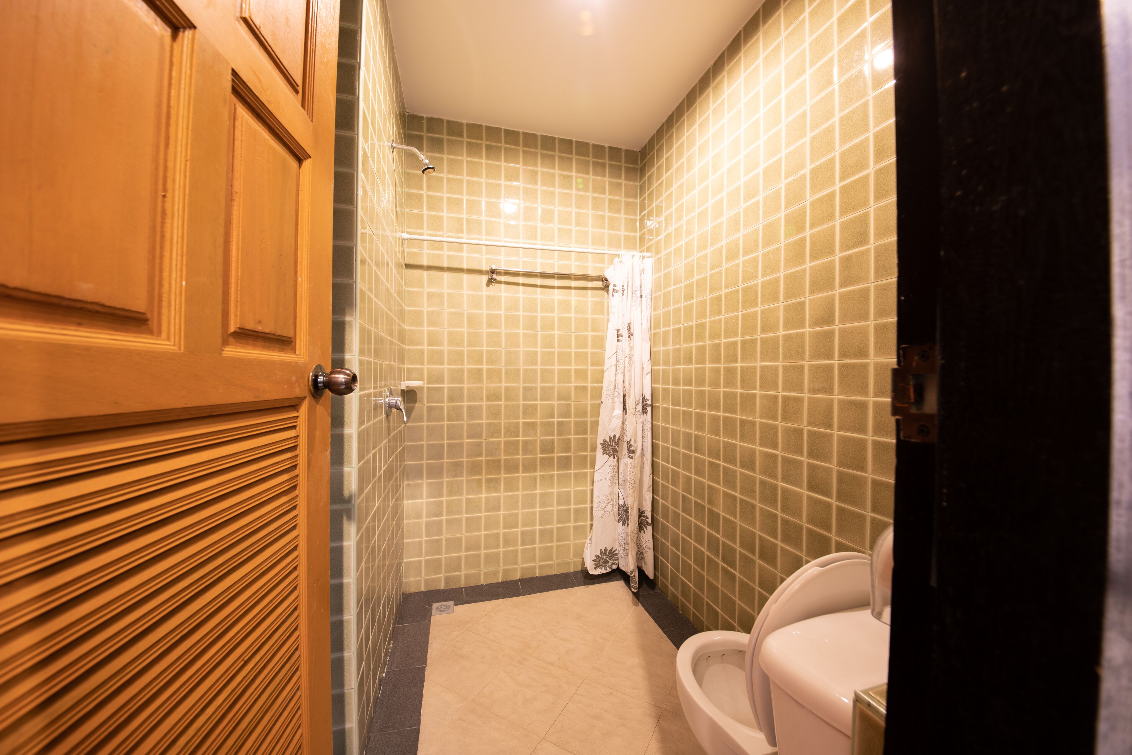 A bathroom with a toilet, a shower, and a wooden door.