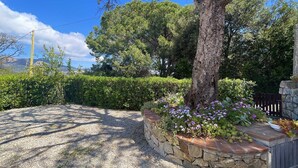 A stone wall with a garden bed of purple flowers and green shrubs.