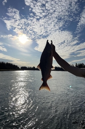Pesca