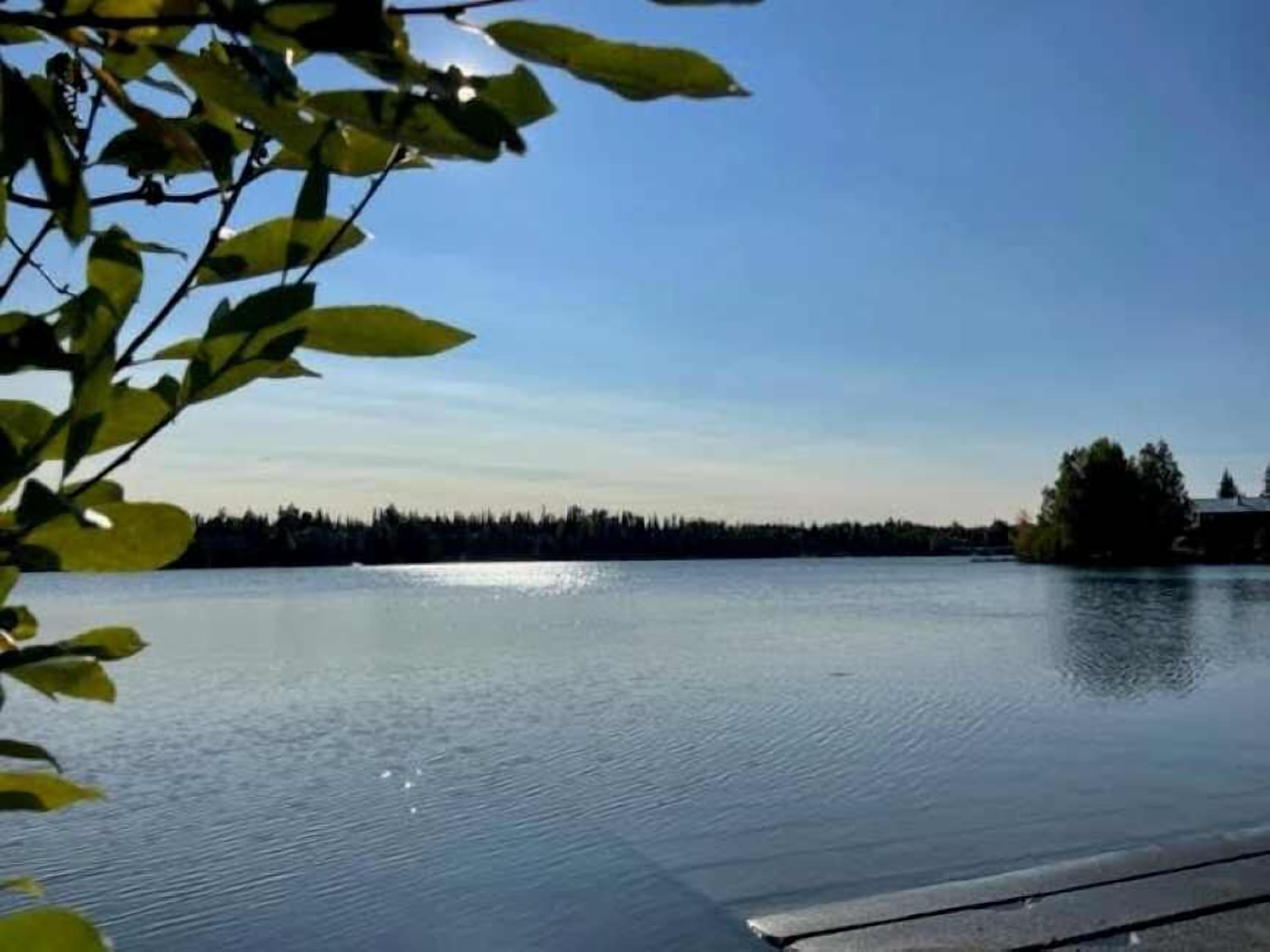 Een rustig meer met een steiger die het water in reikt, omringd door bomen en een bos in de verte.