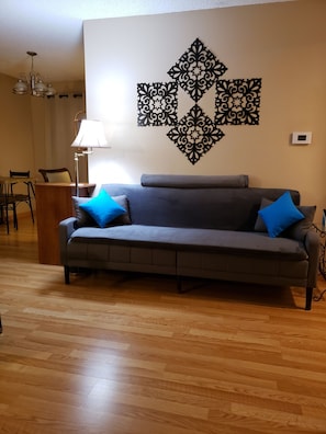 Smart TV, DVD player, books, video library
