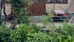 Unclassified image, 3 of 35, button - Lovely home for you (Osh)
