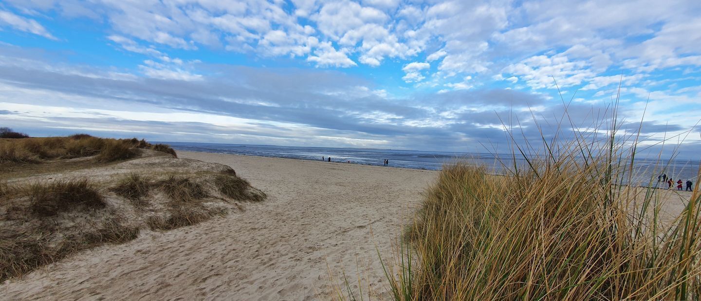 Strand