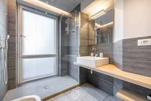 Shower, hair dryer, bidet, towels