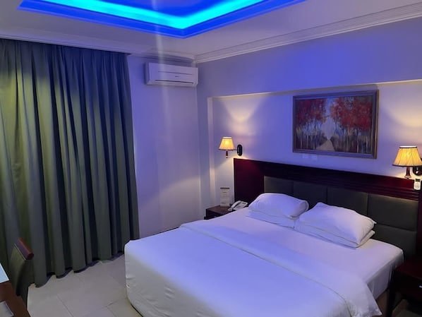 Habitación individual ejecutiva | Escritorio y wifi gratis