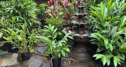 Maui What A Wonderful B&B Pineapple Ste