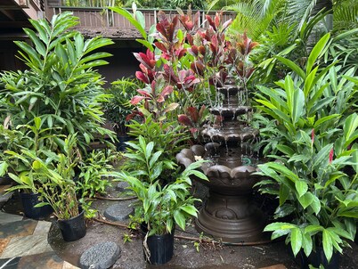 Maui What A Wonderful B&B Pineapple Ste