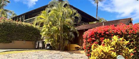 A house with a stone-paved driveway, a mailbox, and lush tropical plants.