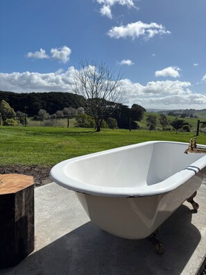 Property grounds - Berrys Creek Farm Stay (Berrys Creek)