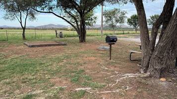 An outdoor area with a barbecue grill, a metal bench, and a tree.