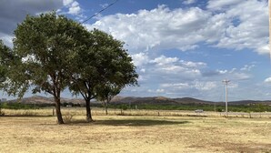 A rural landscape with a large tree, dry grass, and distant hills under a partly cloudy sky.