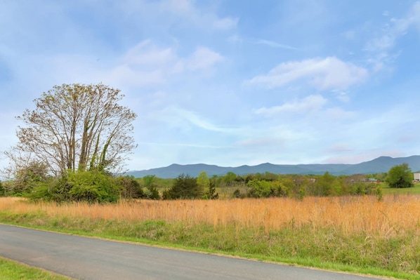 A rural landscape with a road, trees, and distant mountains. - Ideal for family summer vacations or a few couples wine weekend/mountain getaway (Lovingston)