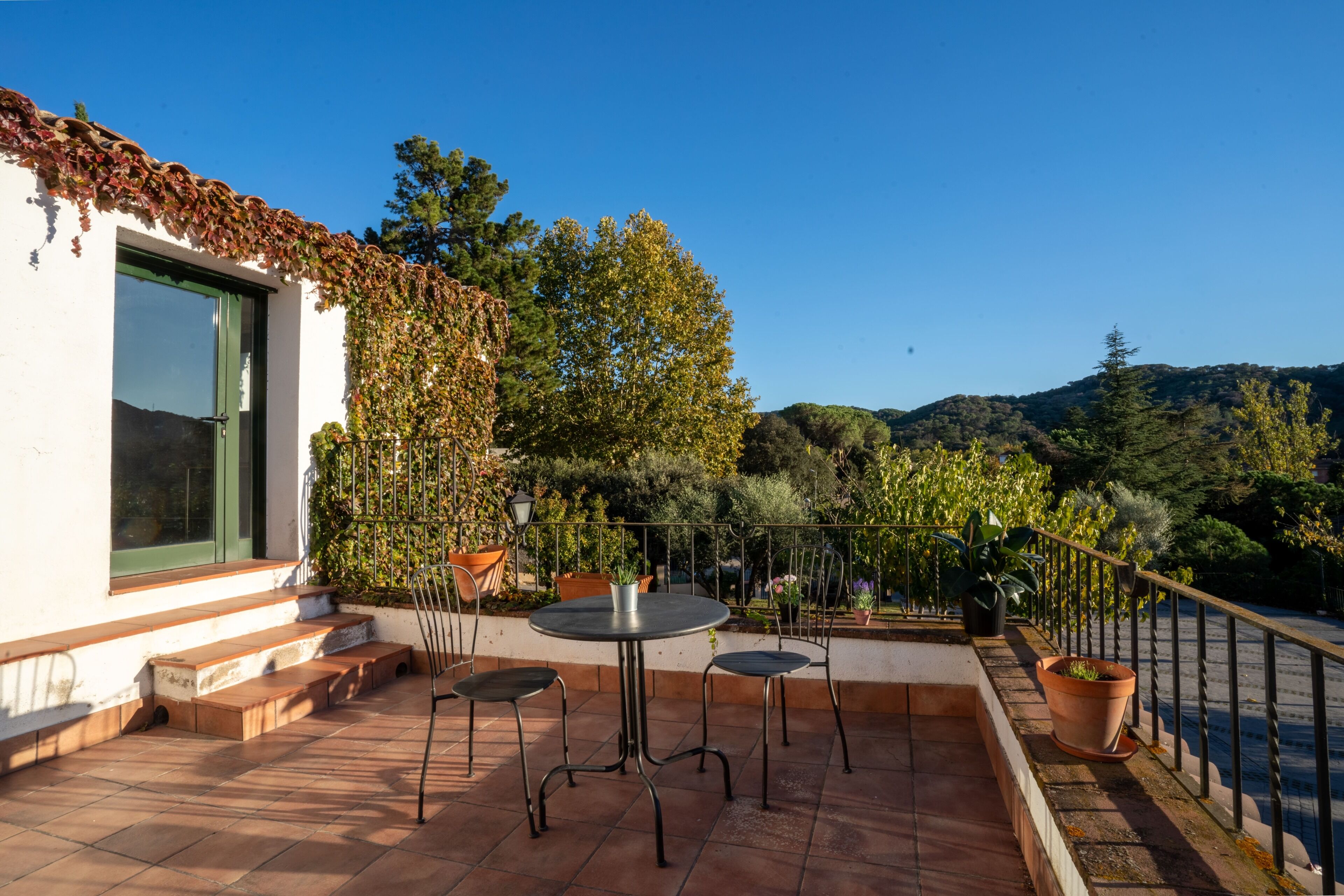 Luxury Suite, Terrace | Terrace/patio