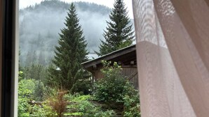 A view through a window of a green lawn, a wooden building, and a forested hill.