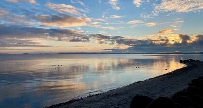 FeWo Hans - Vacation with a view of the Baltic Sea right on the beach